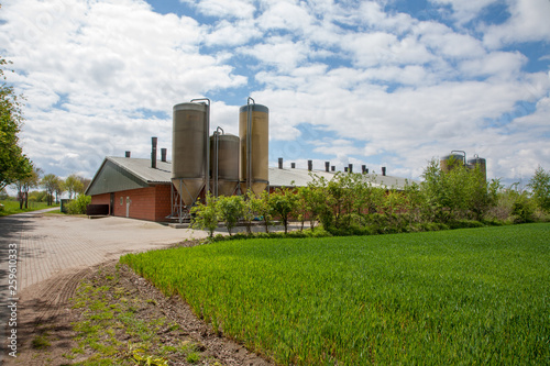 Fotografie Futtersilos eines Schweinestalls - AGRARFOTOS