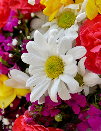 bouquet of flowers and  daisy on background