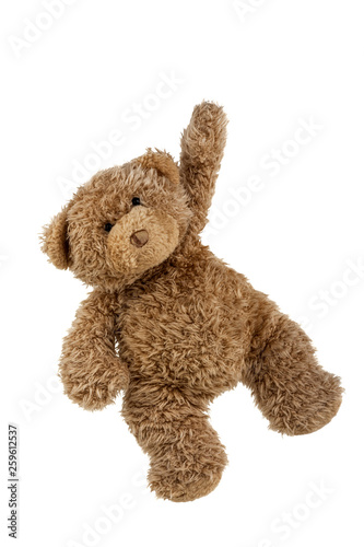 Fototapeta teddy bear isolated on white background