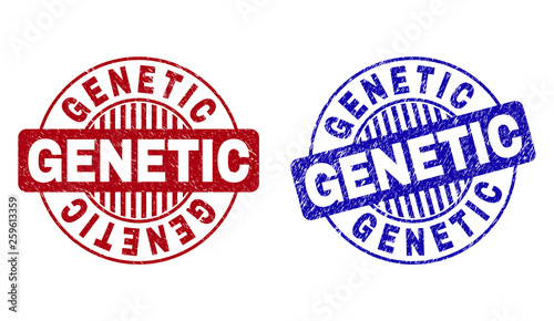 Grunge GENETIC round stamp seals isolated on a white background. Round seals with grunge texture in red and blue colors. Vector rubber imprint of GENETIC label inside circle form with stripes.