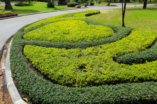 Beautiful green tree, plants, forest and flowers in the outdoor gardens