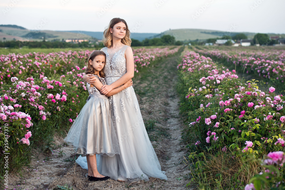 Beautiful sisters in grey dresses collect roses in Bulgaria in sunrise.