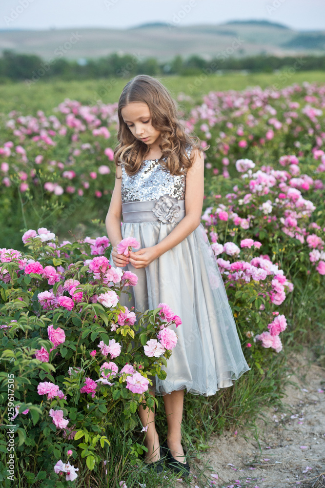 Beautiful girl in grey dress collect roses in Bulgaria in sunrise. Beautiful girl in grey dress collect roses in Bulgaria in sunrise.