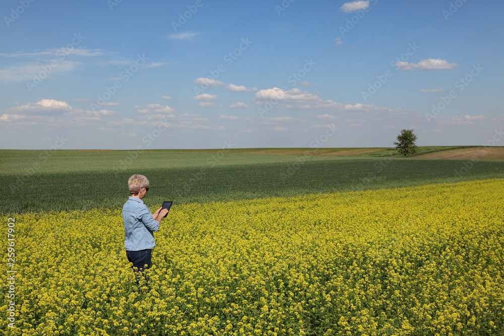 Female farmer examining blossoming rapeseed field in spring