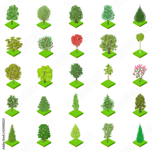 Kind of tree icons set. Isometric set of 25 kind of tree vector icons for web isolated on white background