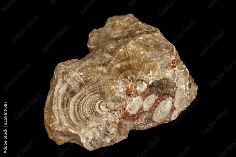 Macro stone Flint mineral on a black background Macro stone Flint mineral on a black background