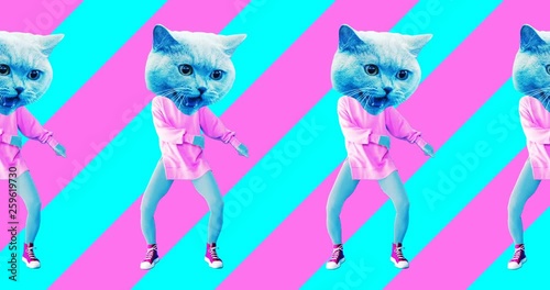 Minimal animation design. Pretty Kitty. Strip lover vibes. Pop and dance mood photo