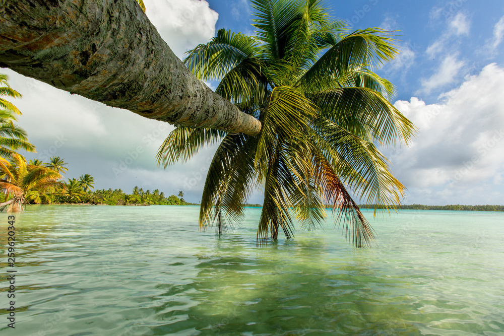 Palmyra Atoll National Wildlife Refuge, part of Pacific Remote Islands ...