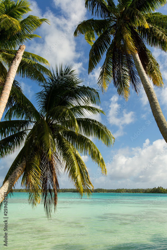 Palmyra Atoll National Wildlife Refuge, part of Pacific Remote Islands ...