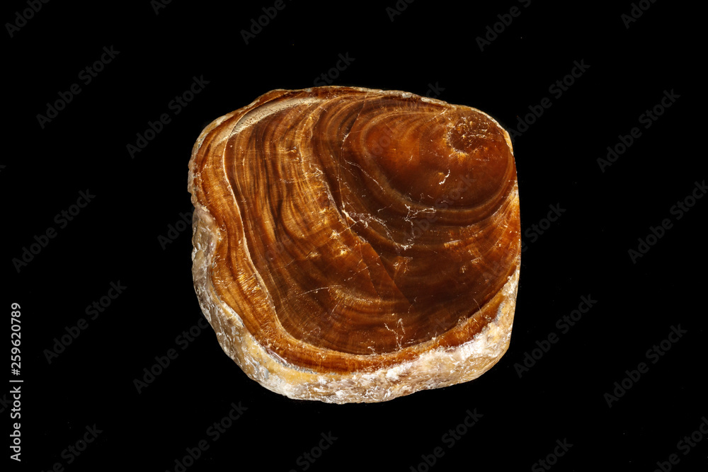 Macro Onyx mineral stone on a black background