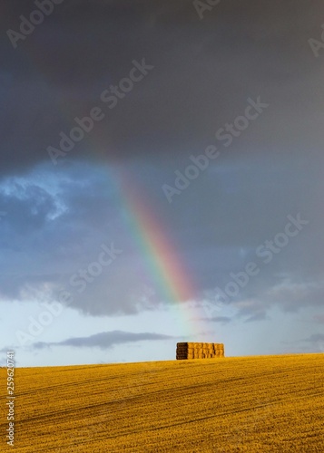 Rainbow on the Haystack