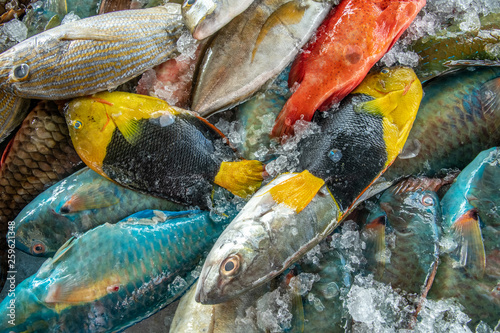 Foto L'étal du poissonnier