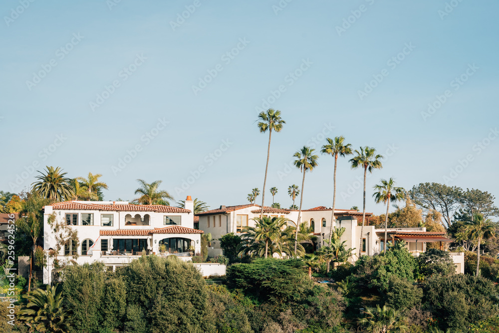 Houses and palm trees in San Clemente, California