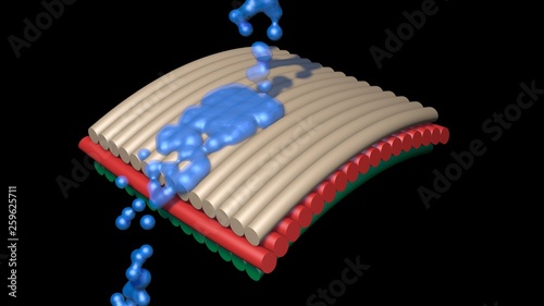  Water drops collide with waterproof surface , nanomaterials . 3d rendering photo