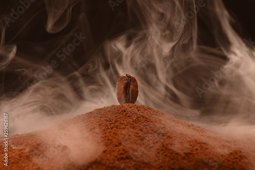 Fresh roasted coffee bean stands on a scattering of handful coffee in the smoke. Black background. Post card, banner.