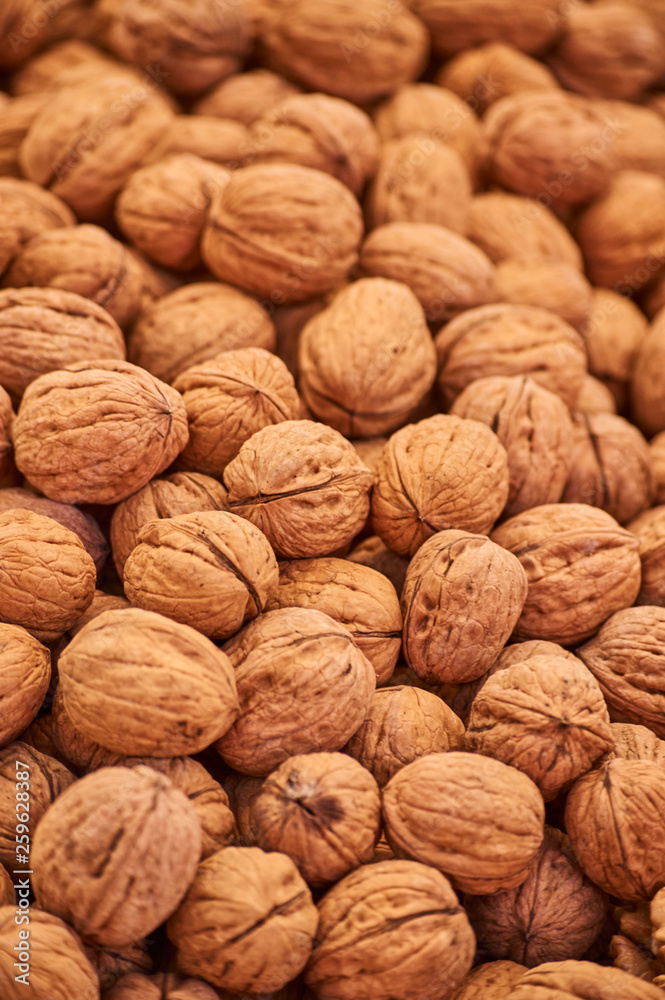 walnuts on white background walnuts on white background
