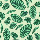 Seamless Tropical Pattern. Trendy Background with Rain Forest Plants. Vector Leaf of Alocasia. Green Araceae. Handwritten Jungle Foliage in Watercolor Style. Seamless Exotic Pattern for Tile, Fabric.