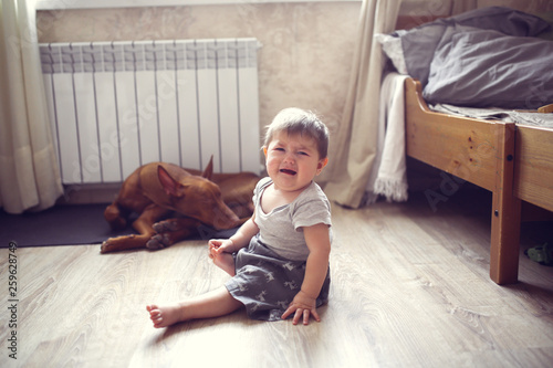 Cuadro en lienzo baby's afraid of dog, girl child sitting and cry