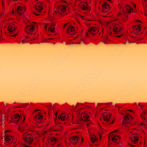 Fototapeta Naklejka Na Ścianę i Meble -  Background of red roses on an orange background. The horizontal arrangement of the buds. Vintage style. Mock-up.