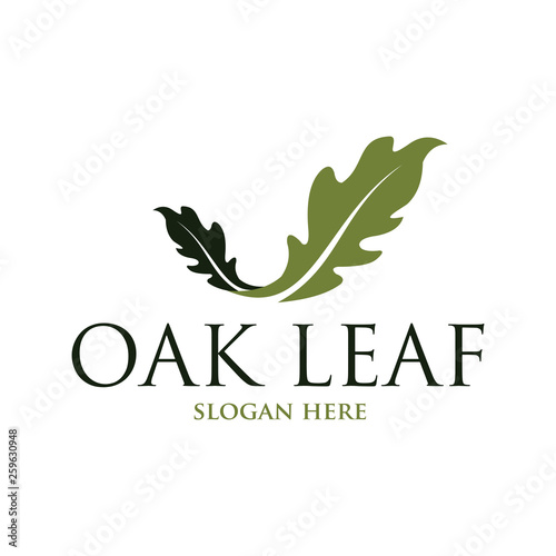 Oak leaf vector logo isolated. Logo templates.
