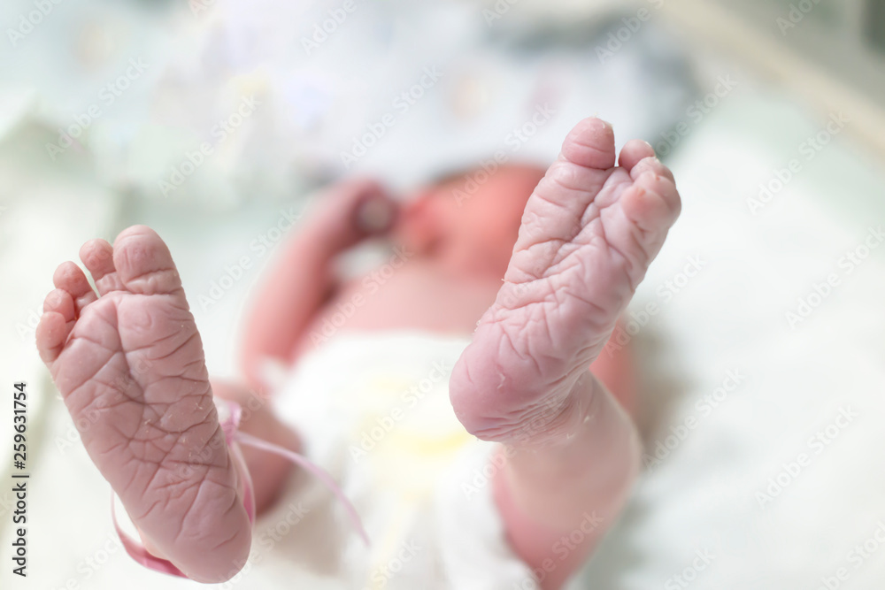 Premature Newborn Baby Girl In Hospital