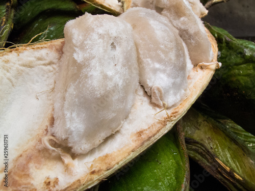 Exotic tropical fruit called guama (Inga Edulis) photo