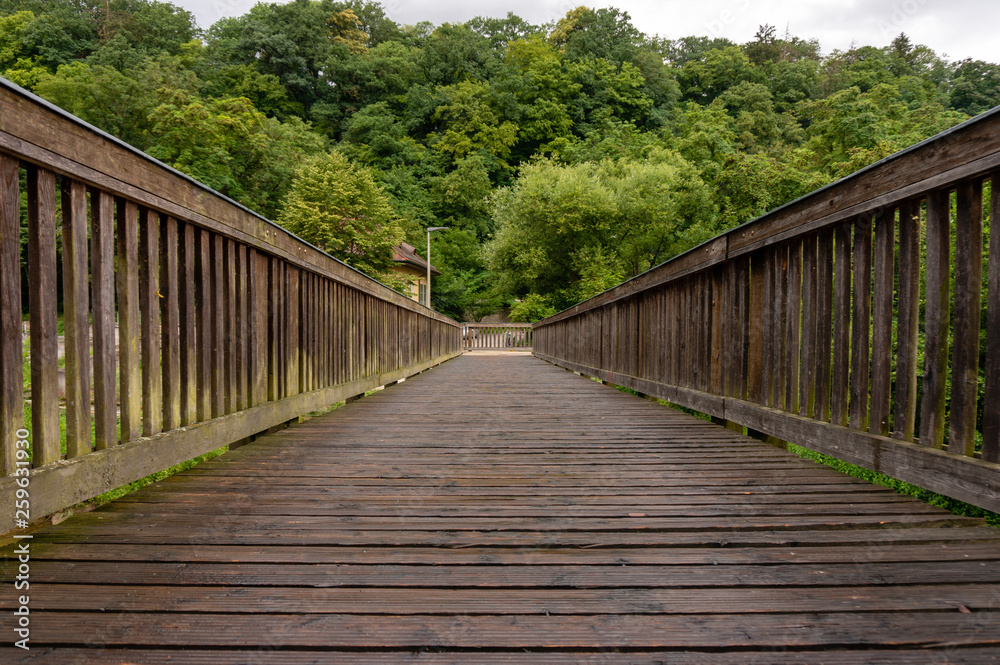 Bridge towards forrest Bridge towards forrest
