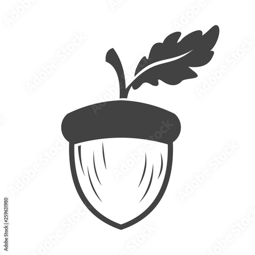 acorn logo design vector photo