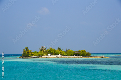 Beautiful tropical Maldives island with beach , sea , and coconut palm tree on blue sky for nature holiday vacation background concept -Boost up color Processing