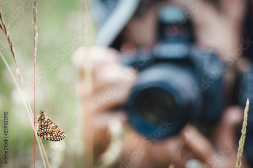 Close up of Nickerl's fritillary butterfly in the grass in nature with a photographer in background