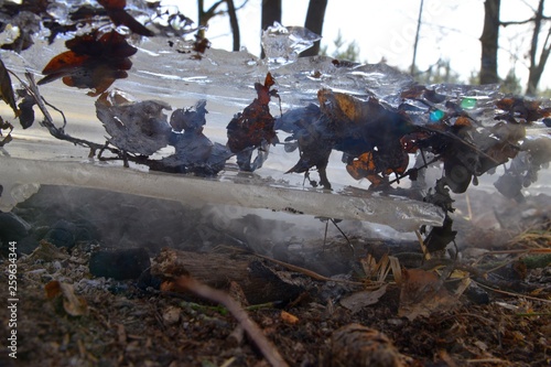 tafla lodu położona na ognisku w celu ugaszenia, zbliżenie od spodu, wmarznięte liście 2