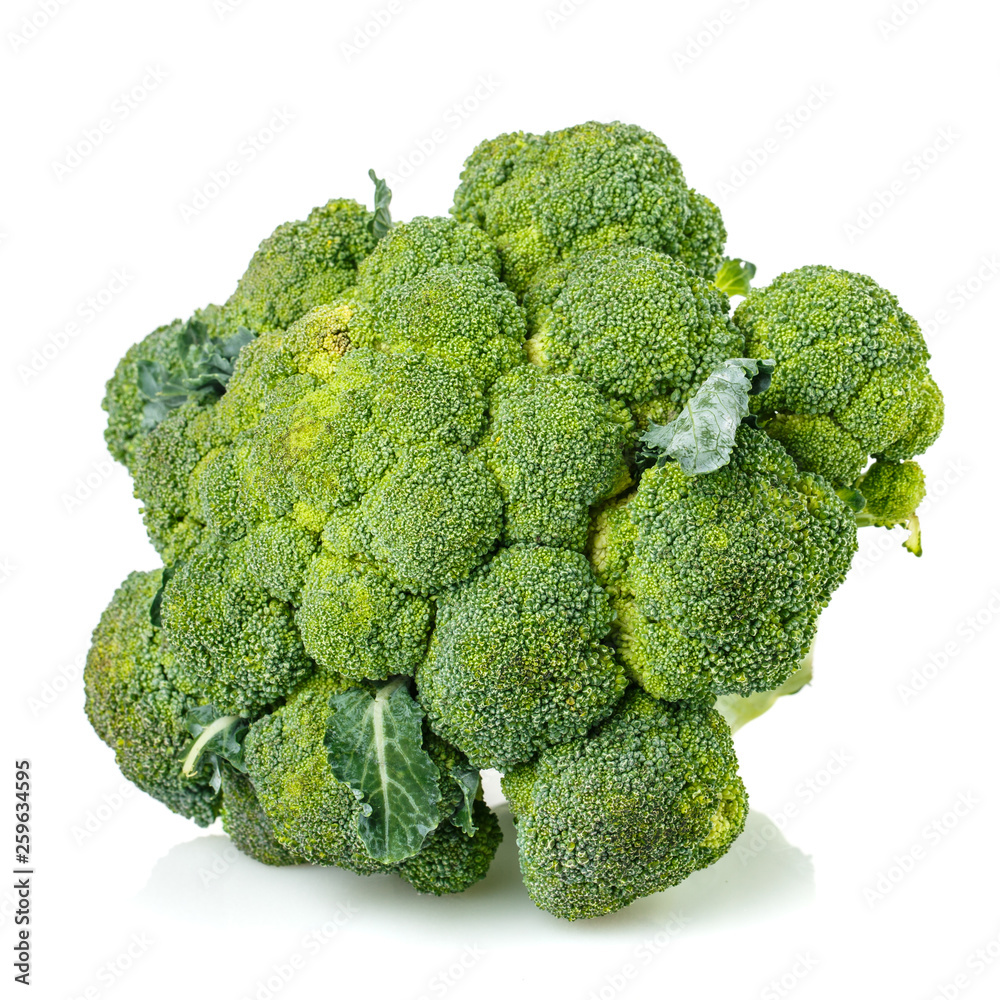 Fresh broccoli. Isolated on a white background Fresh broccoli. Isolated on a white background