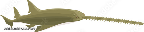 vector green sawfish