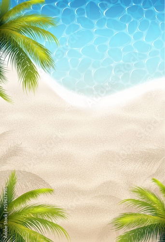 Beach Palms And Sea