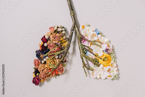 top view of of floral composition with dried and blooming flowers near twigs in shape of lungs on grey