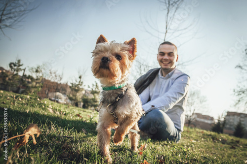 Portrait of a very happy Yorkshire Terrie dog and man outdoor