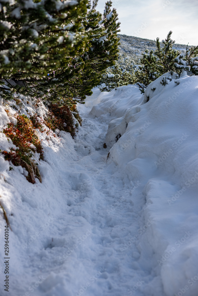 snow covered mountain peaks and tourist trails in slovakia tatra snow covered mountain peaks and tourist trails in slovakia tatra