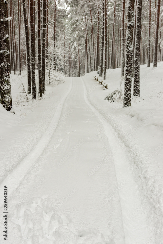 Obraz premium snowy winter road covered in ice and snow