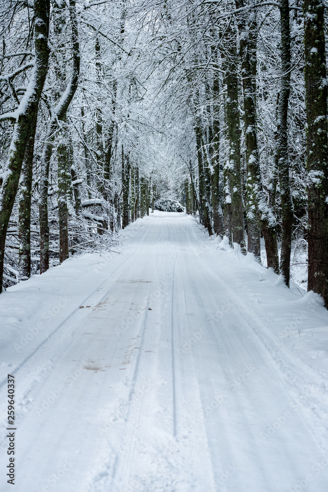 Obraz premium snowy winter road covered in ice and snow