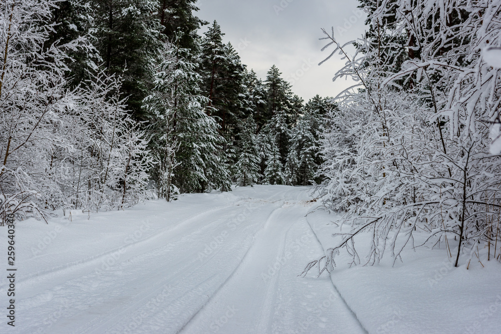 Obraz premium snowy winter road covered in ice and snow