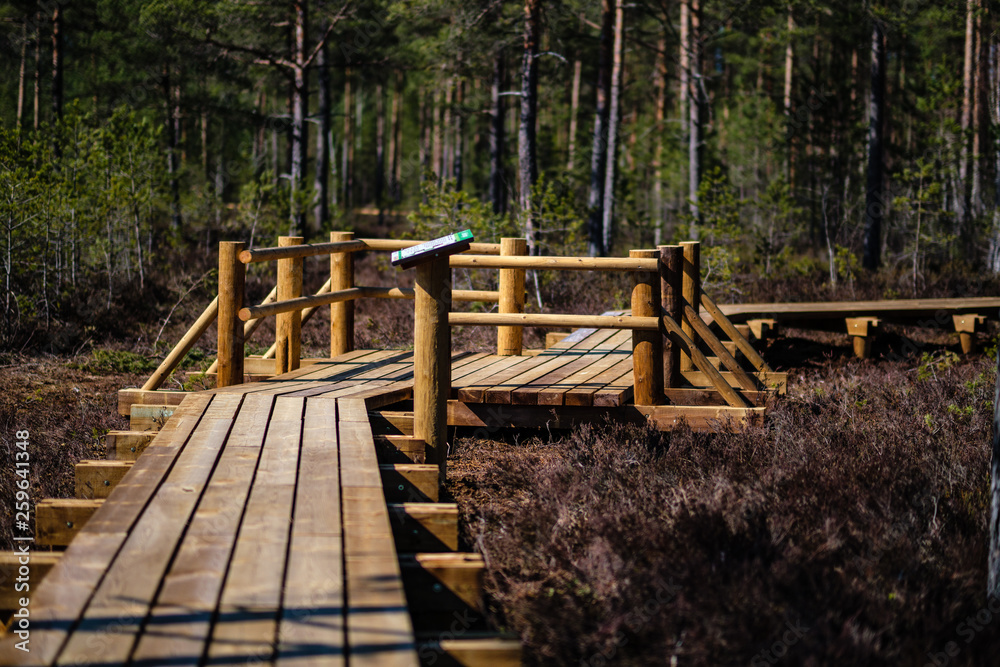 beautiful new wooden board walk for tourists