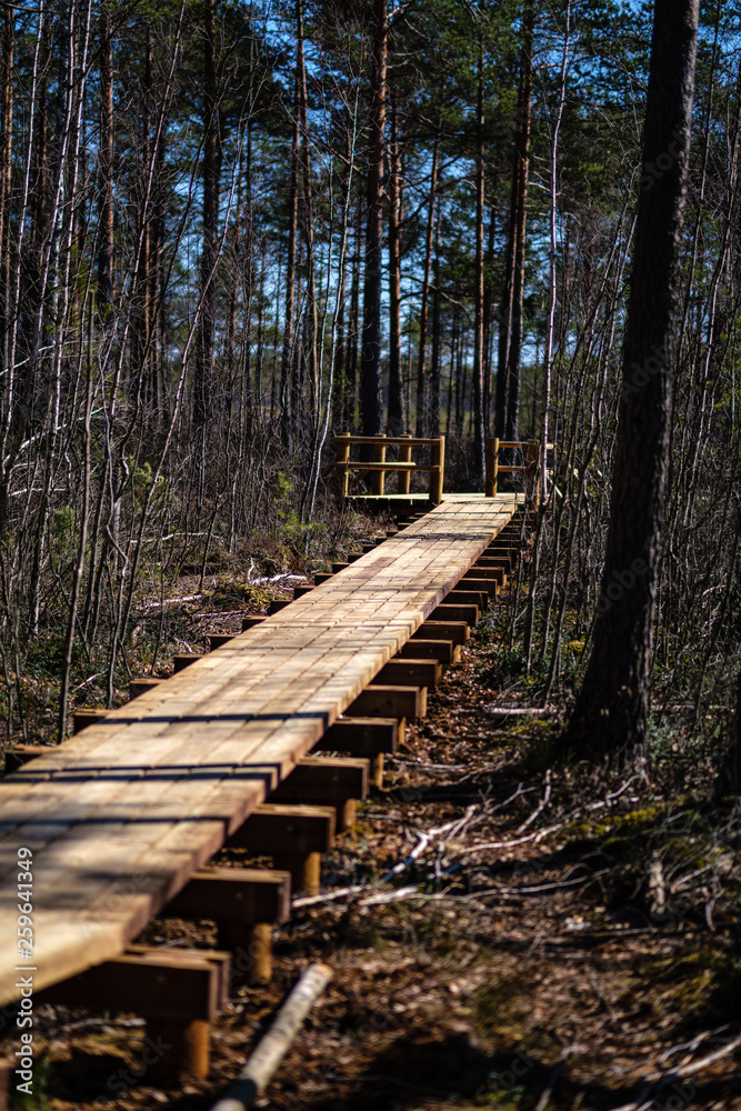 Fototapeta premium beautiful new wooden board walk for tourists