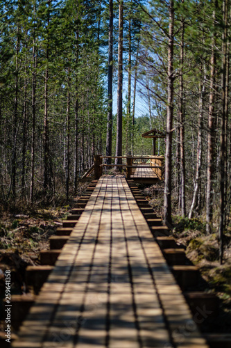 beautiful new wooden board walk for tourists