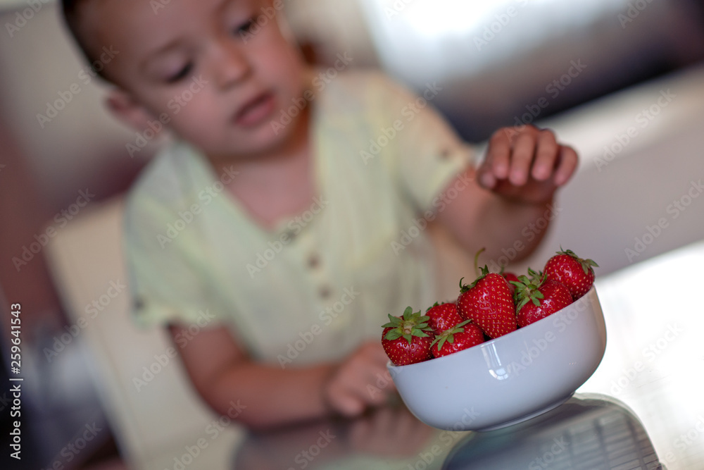 Little boy eating  strawberries