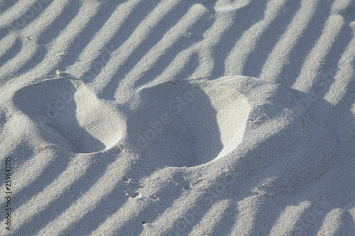 footprints in sand