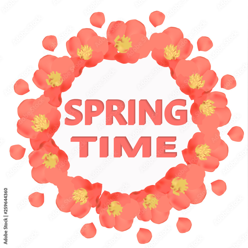 Bright spring time background. Background with beautiful colorful flowers.