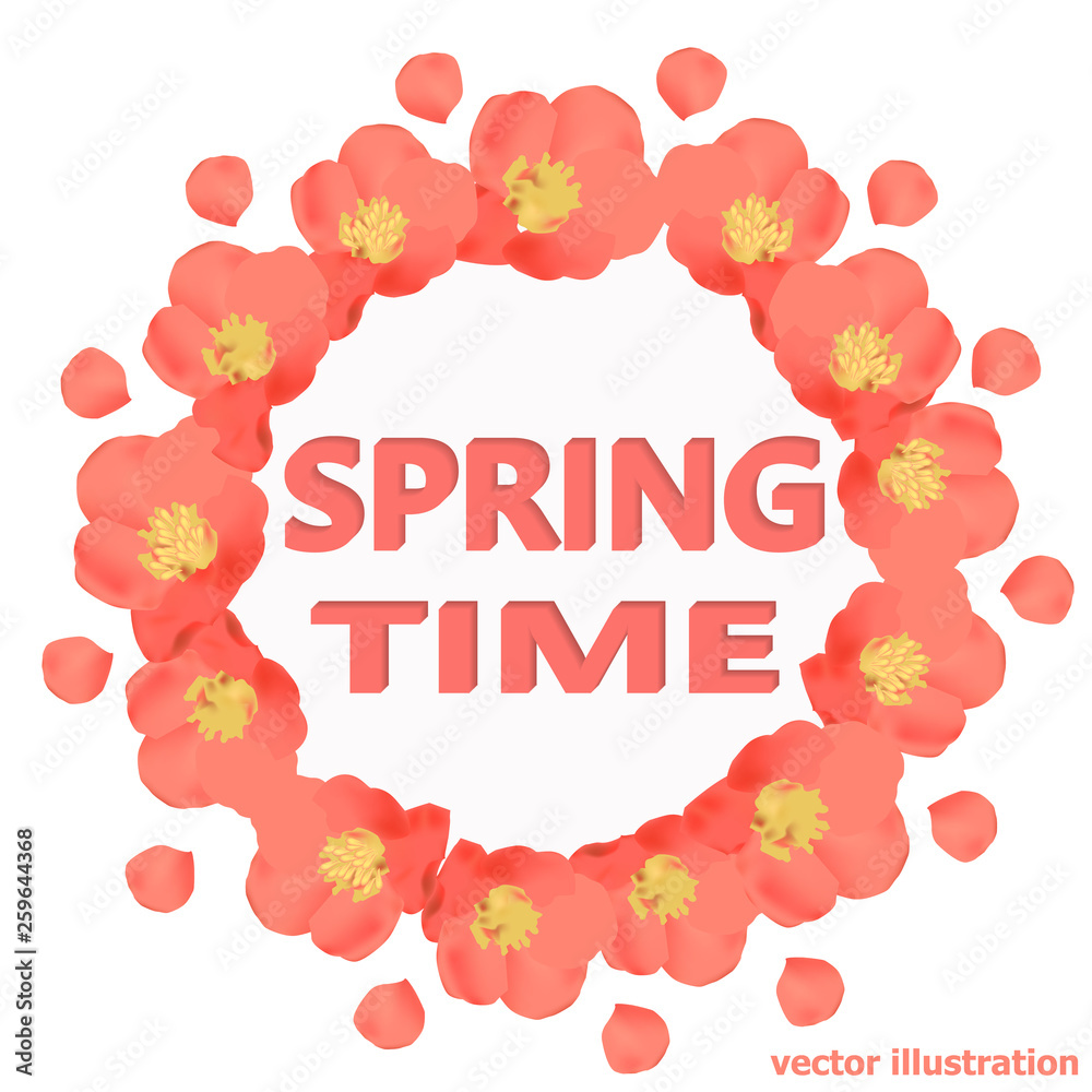 Bright spring time background. Background with beautiful colorful flowers. Vector illustration.