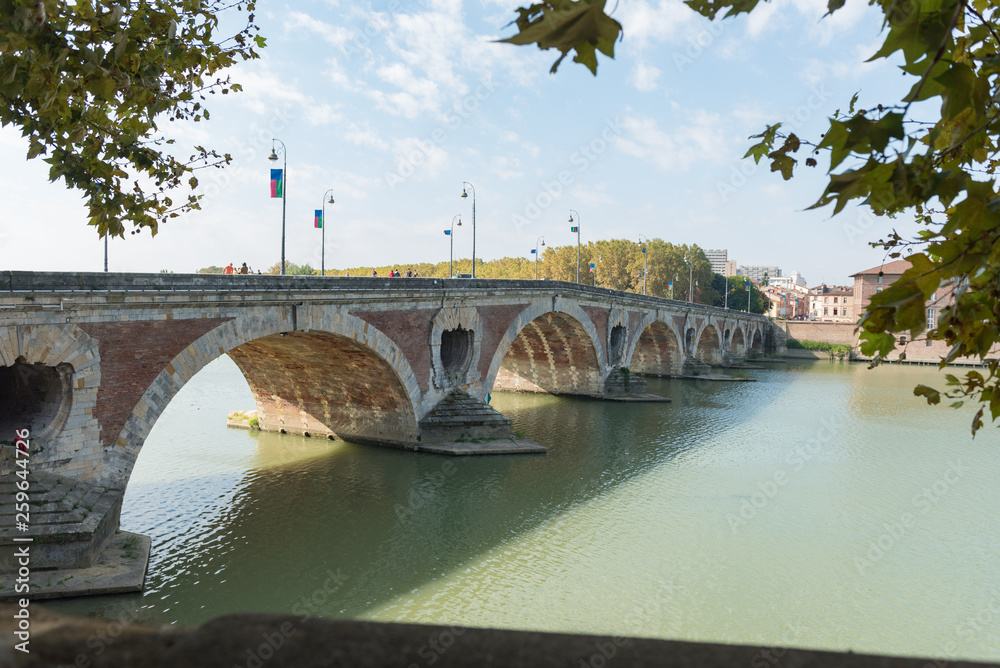 The Pont Neuf, the Saint-Jacques hospital and the Garona River. Toulouse.