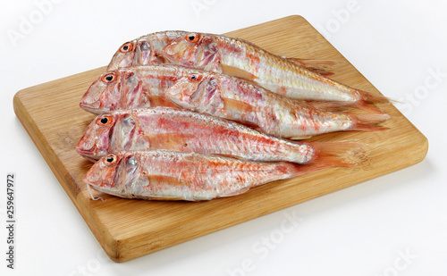 Fresh red mullet fish on wooden cutting board