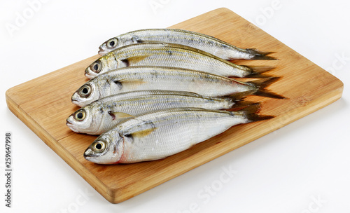 Fresh Caught Bogue Fish Or Boops Boops fish on wooden cutting board photo
